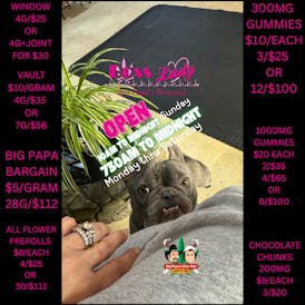 Big Papa Pluggin' TAX INCLUDED - Regular