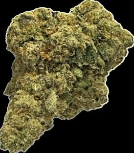 Gas Face Bulk Flower