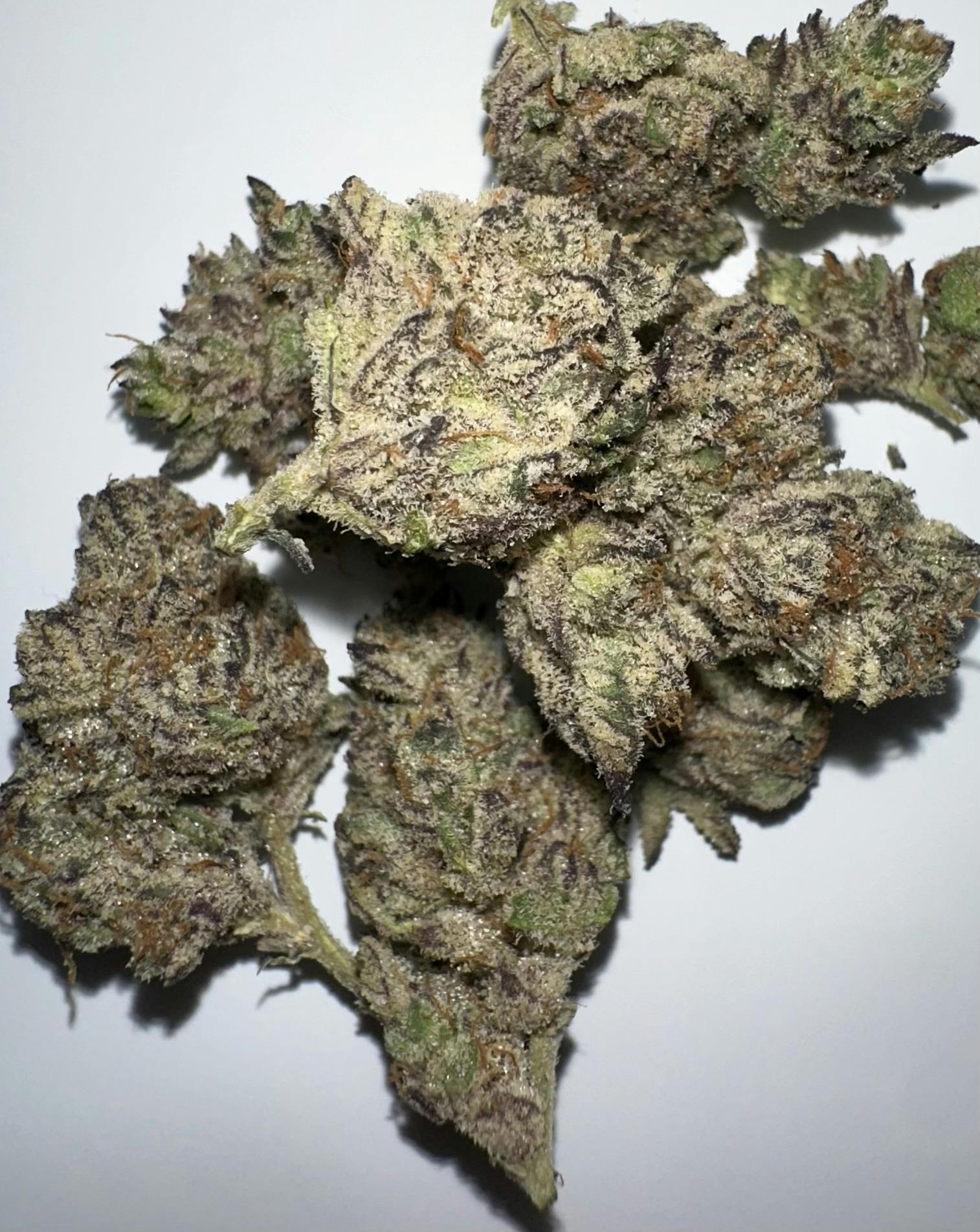 Ridgeback | Big Buds | 3.5g