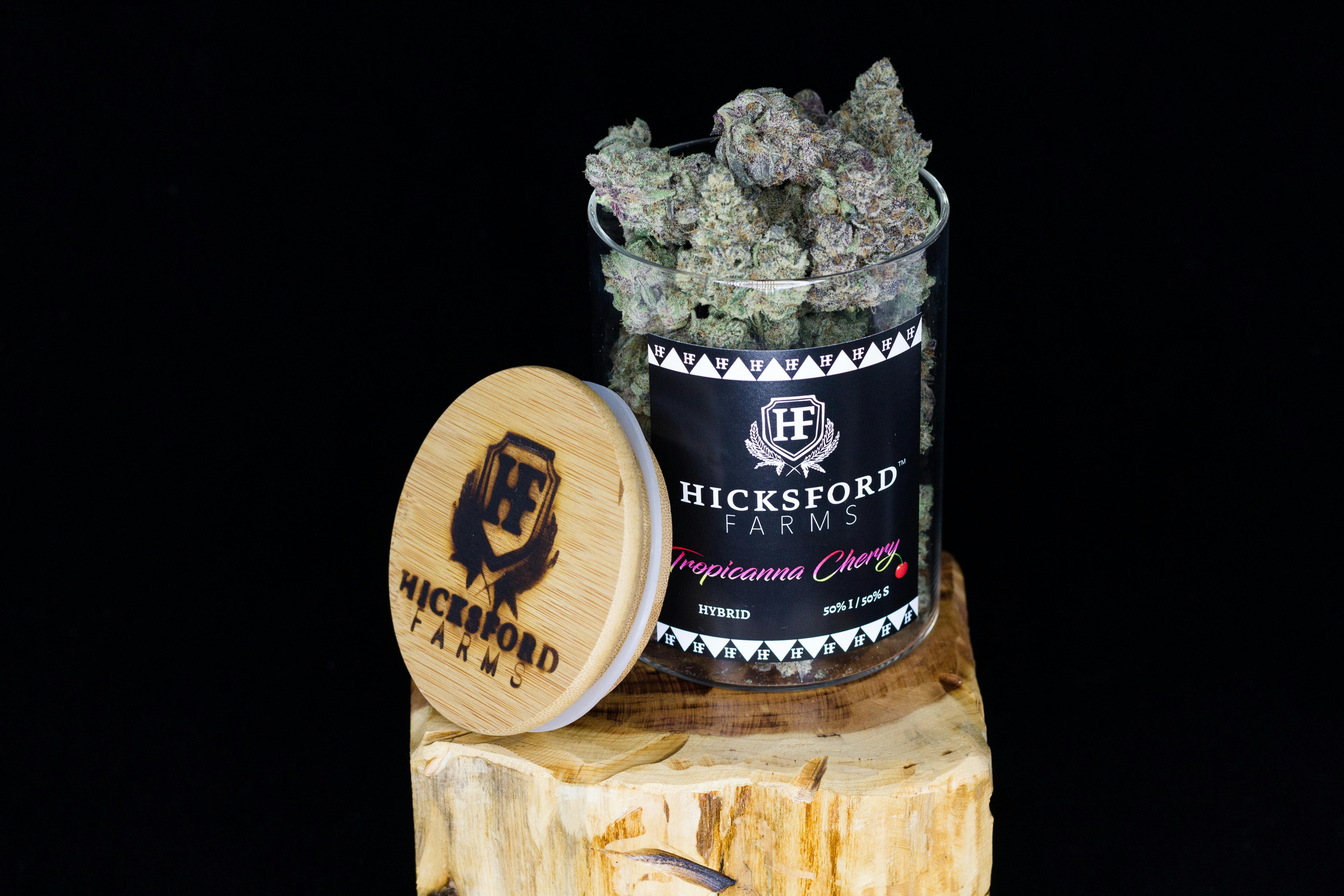 Tropicanna Cherry 14