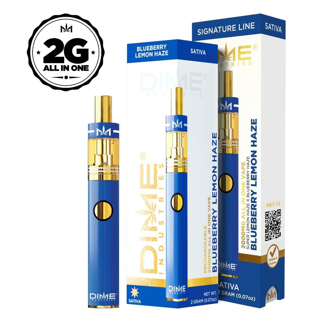 Dime - Blueberry Lemon Haze - 2G Disposable