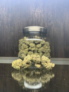 Dreadloc (POJ x Headband)