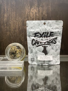 TRAKHAWK 3.5G Prepacked (PRPLE OCTANE JEALOUSY X CANDY FUMEZ) - Exile Cannabis