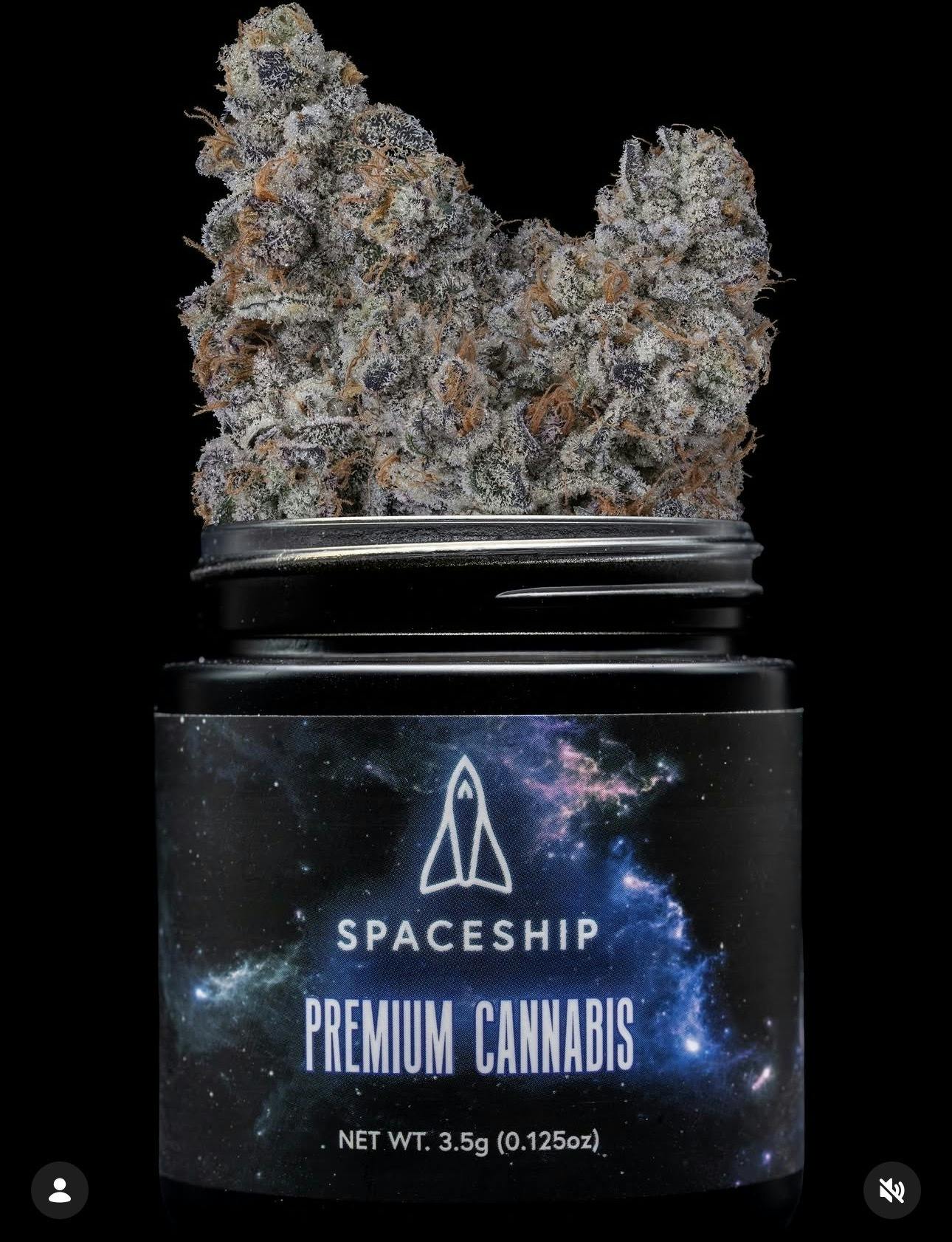 SPACE SHIP 3.5 - HASHBURGER