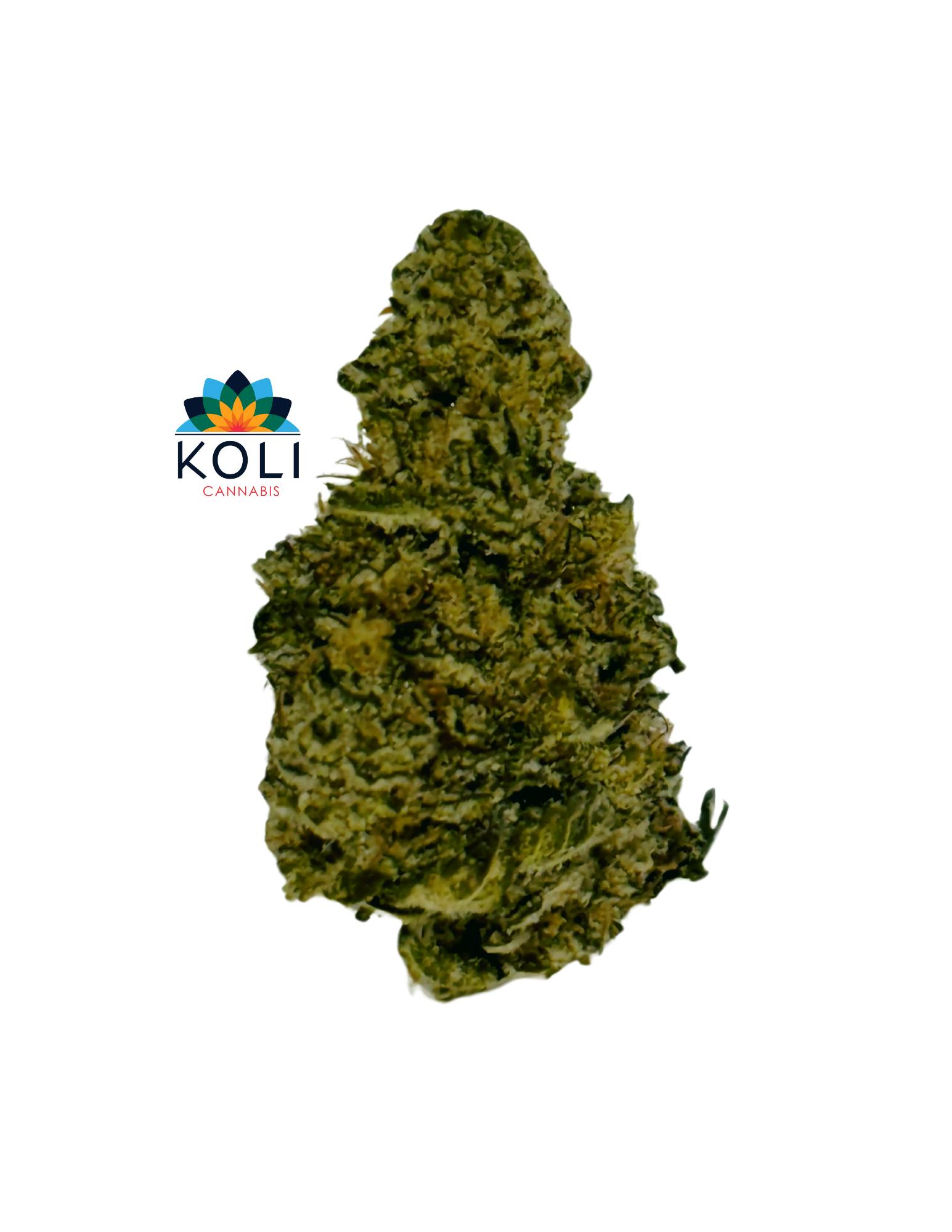 BRYAN PH HYBRID (KOLI) *GOLD* OTD $4,00/GR
