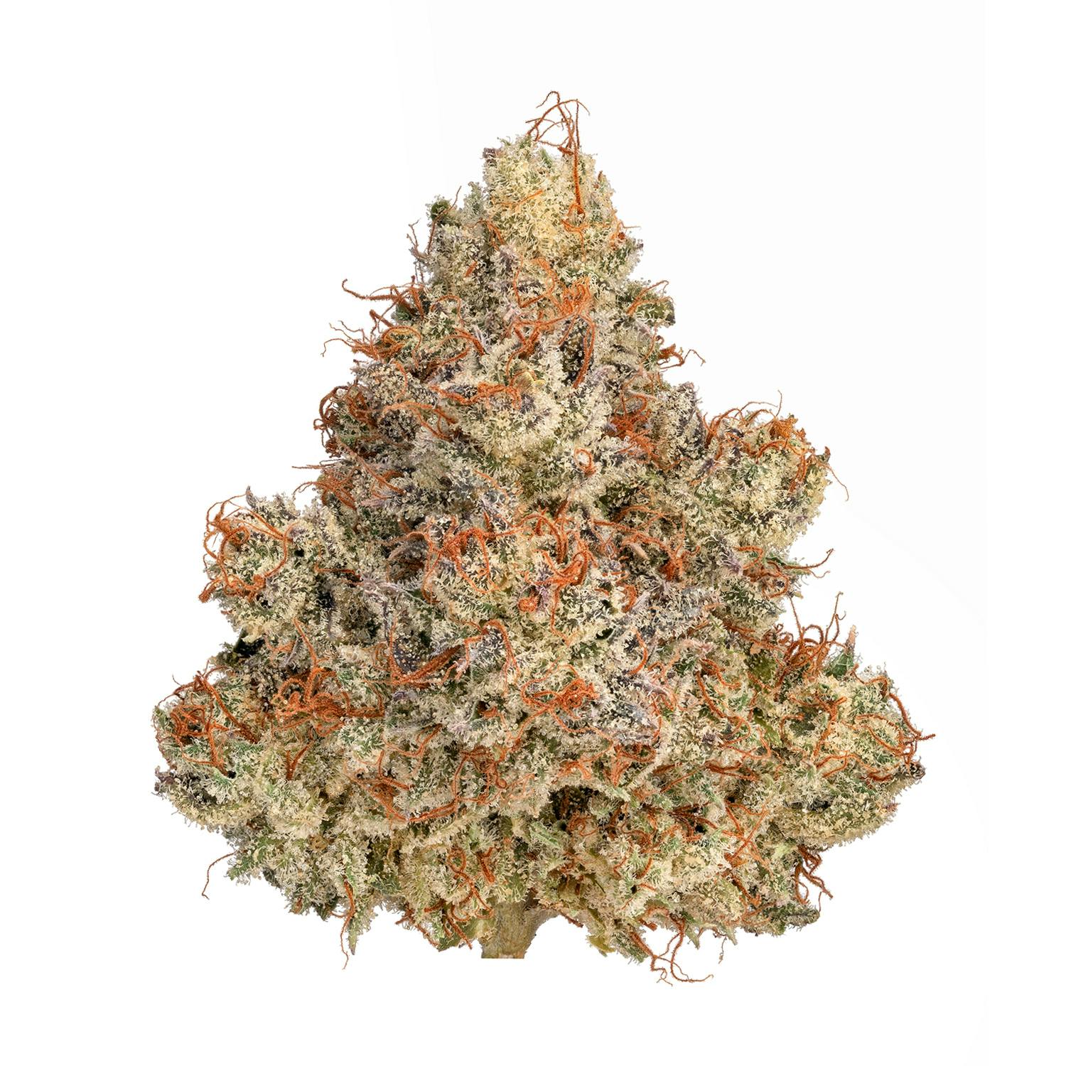 Cherry Ghostenade