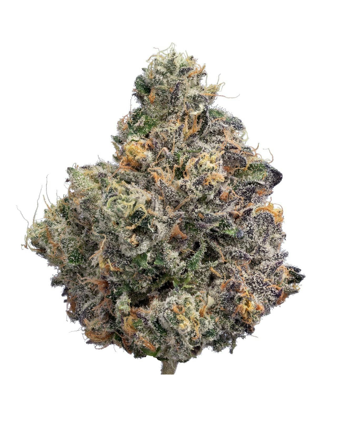 Sunset Runtz | Smalls | 28g
