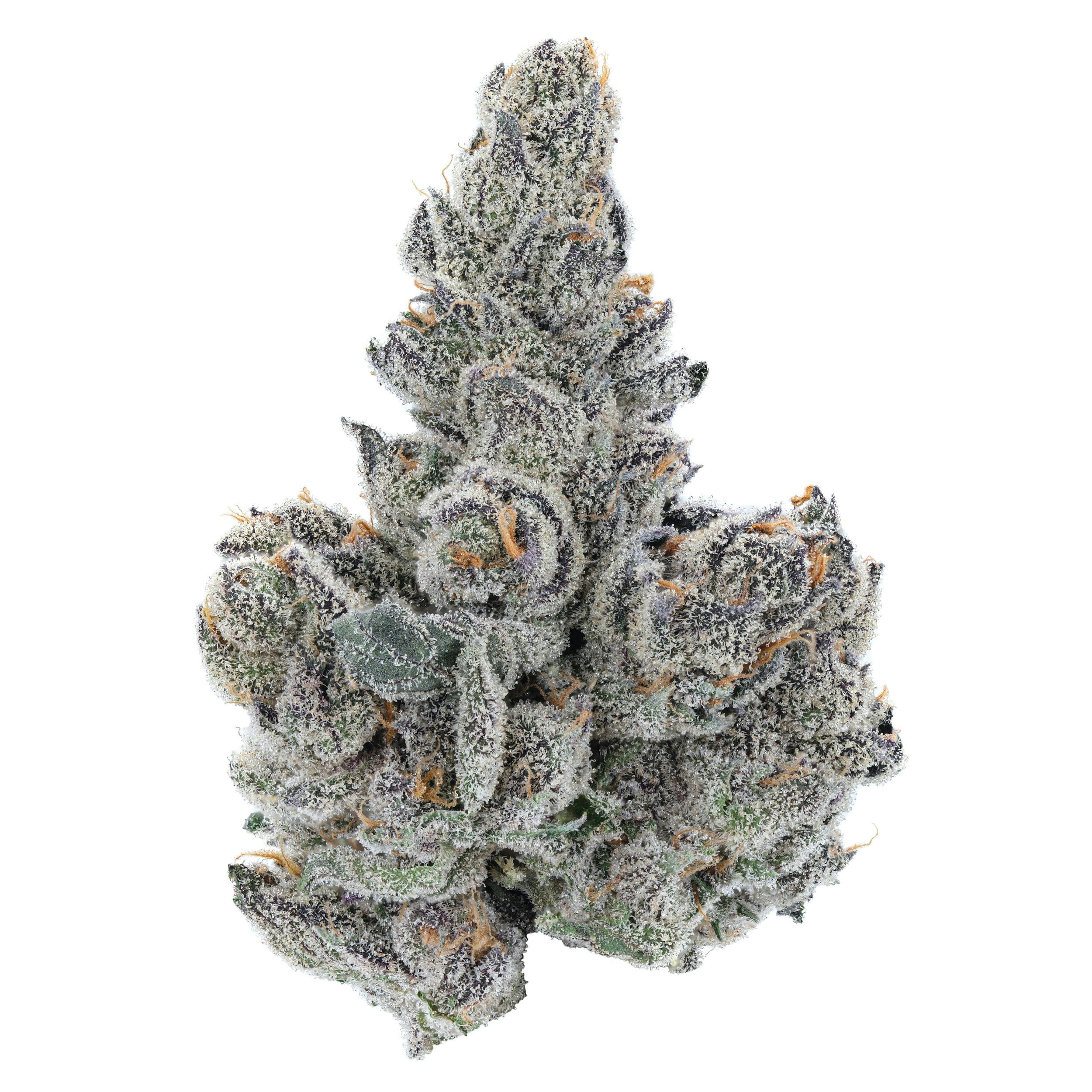 Gastro Pop | Big Buds | 14g