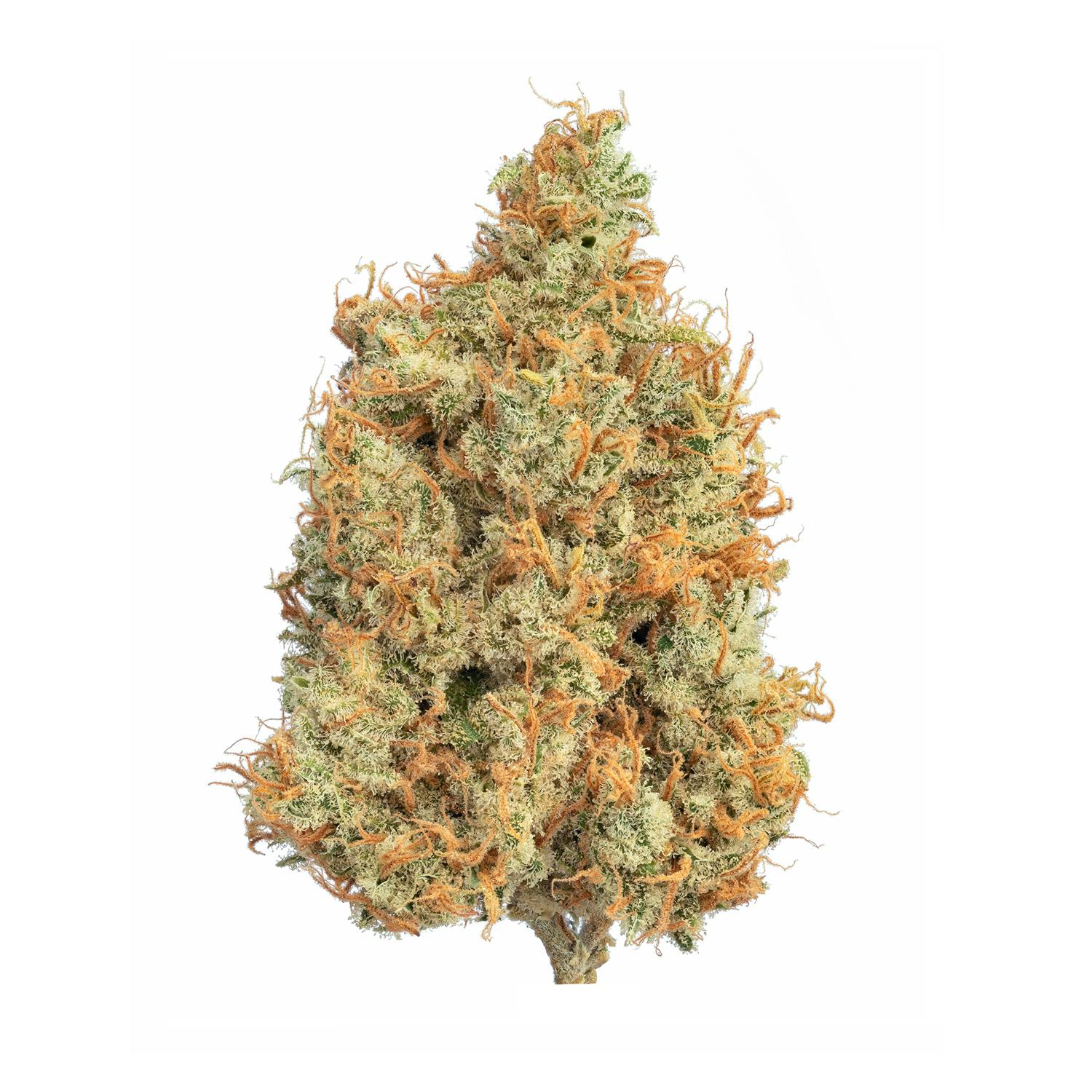 Mr Big Buds