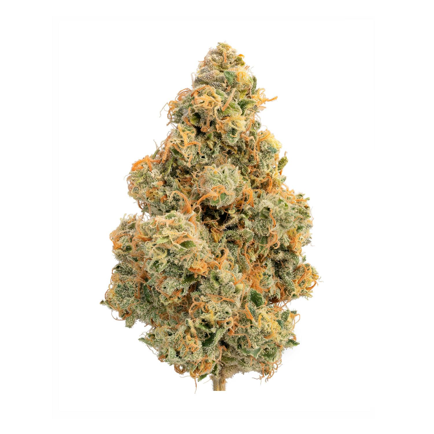 Devil’s Toast - 3.5g