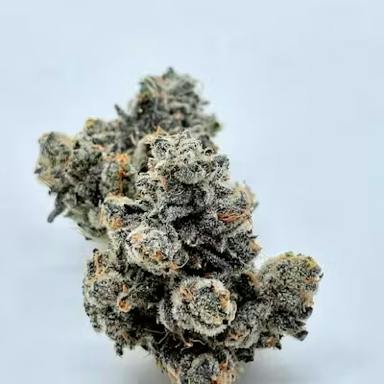 Animal Tsunami | Big Buds | 14g cannabis product