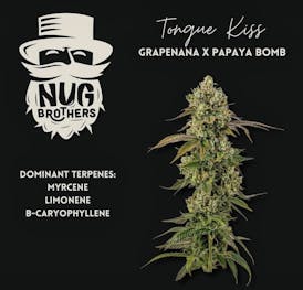 Tongue Kiss $5 Gram or 99 OZ!