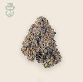 Jokerz 31 $5 Gram or $99 OZ!