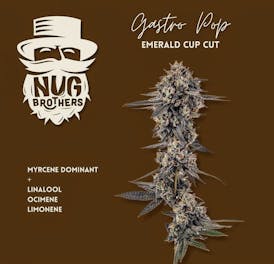 Nug Brothers Gastro Pop $5 Gram or $99 OZ!