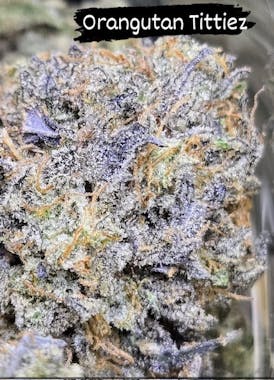 Nug Brother's Orangutan Tittiez $5 Gram or $99 OZ!