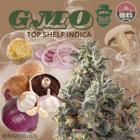 GMO $10 Gram