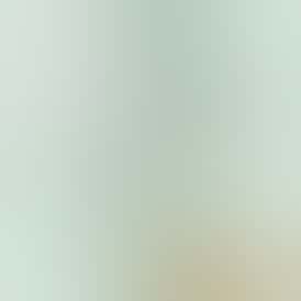 Forbidden Runtz - 2g Hash Roll