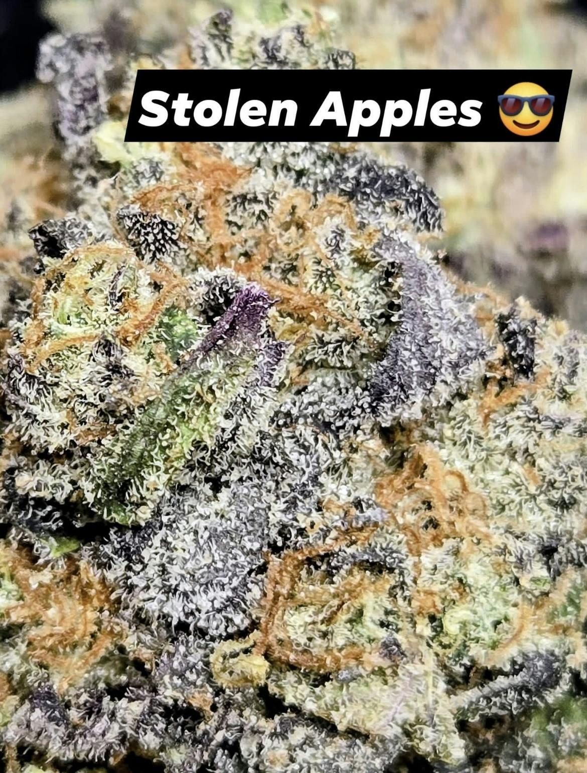 Stolen Apples - Top Shelf Bigs