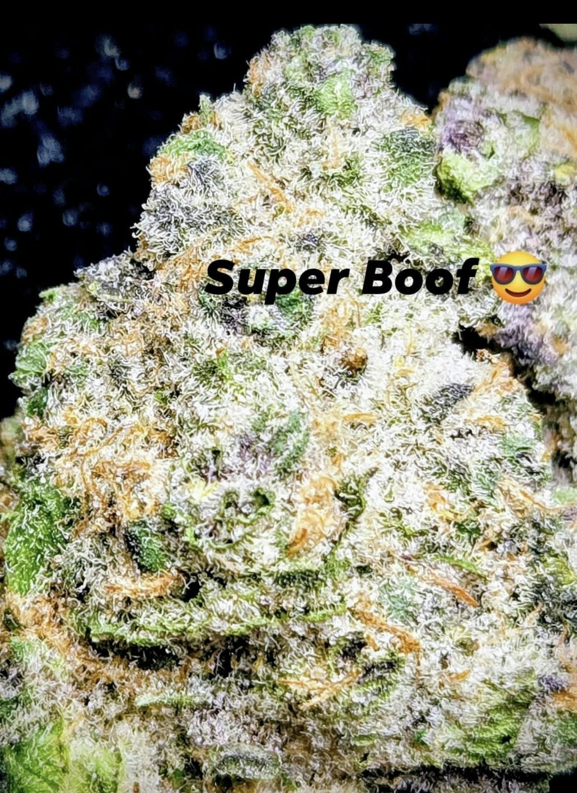 Super Boof- Top Shelf Bigs