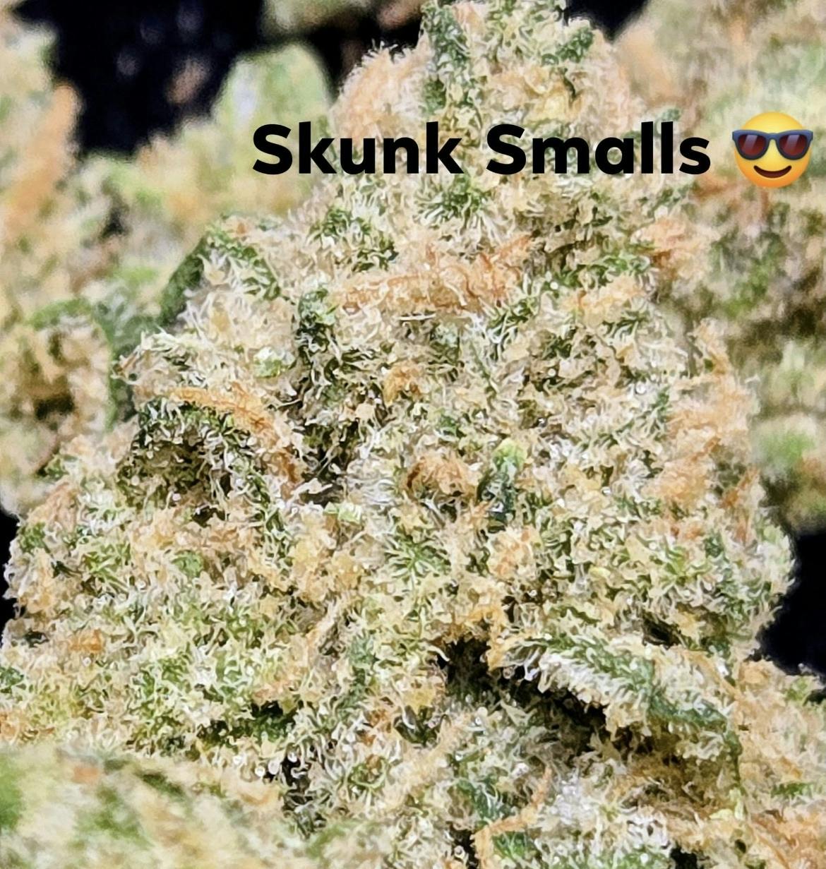Skunk- Top Shelf Smalls