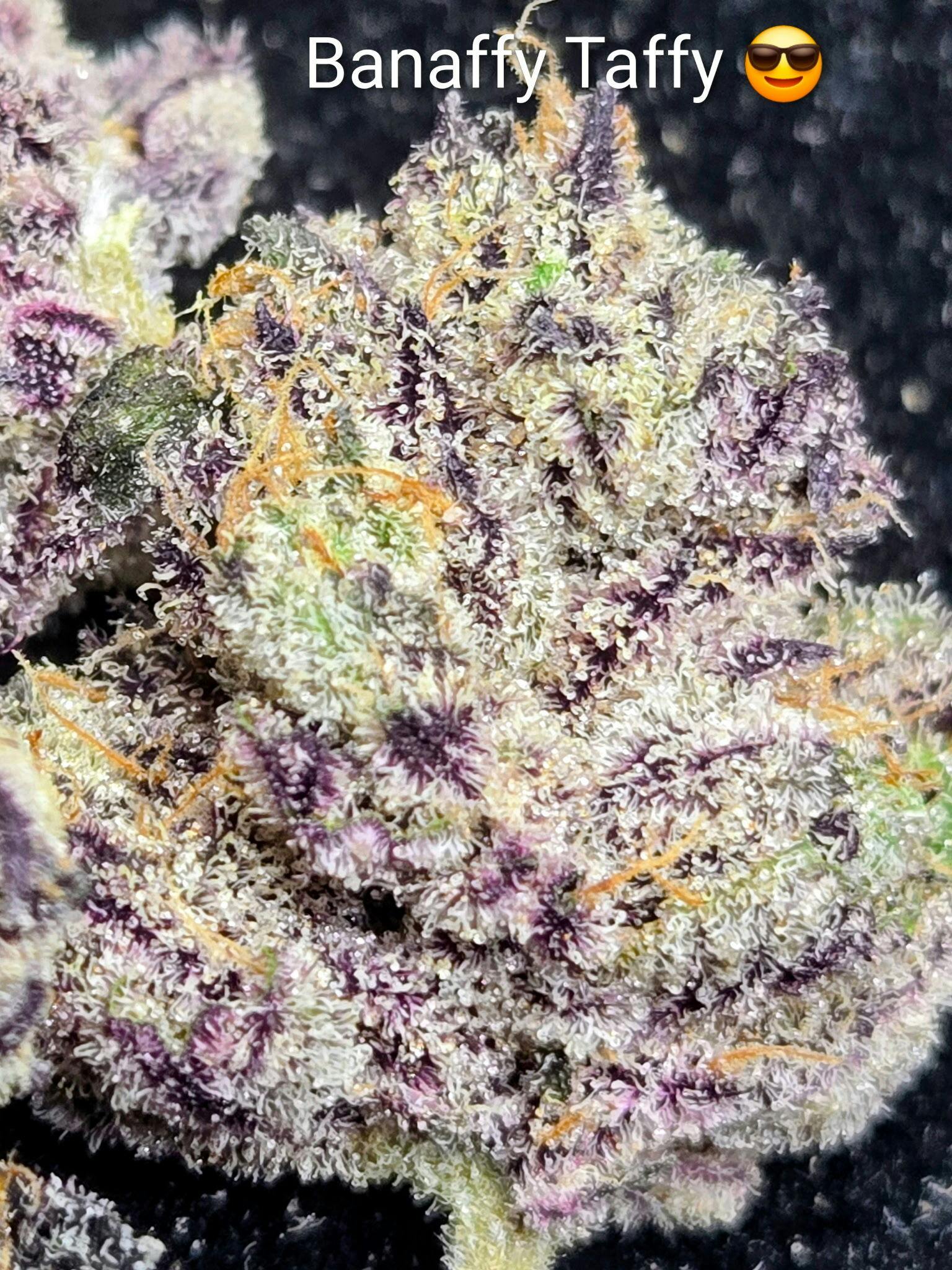 Banaffy Taffy- Top Shelf Bigs