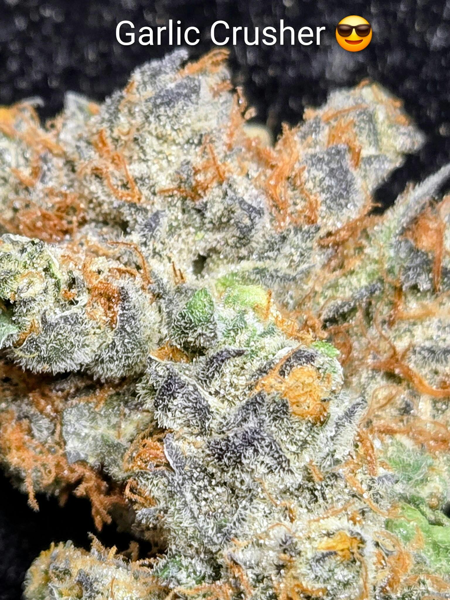 Garlic Crusher- Top Shelf Bigs