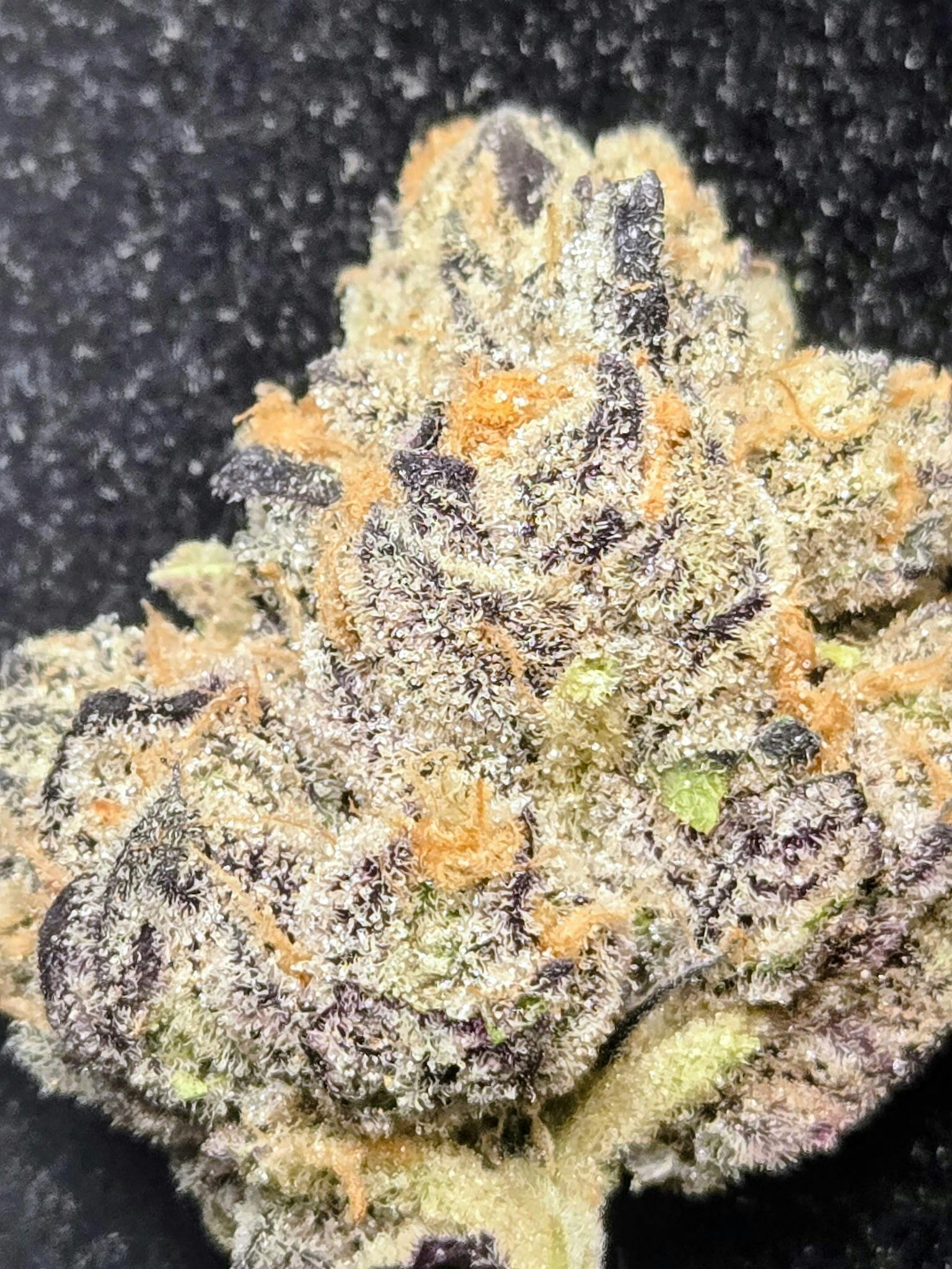 Cadillac Rainbows- Top Shelf Bigs