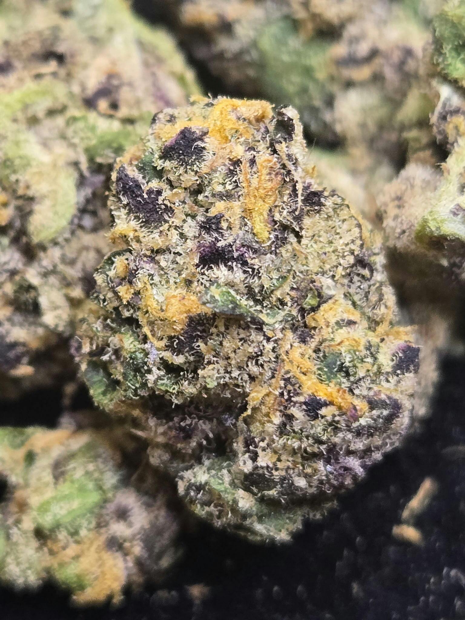 Strawberry Gary