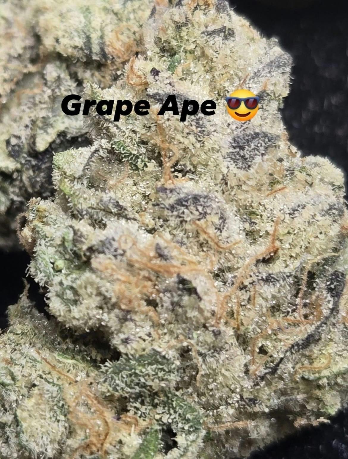 Grape Ape- Top Shelf Bigs