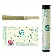 Sunday Extracts | Super Silver Haze | Infused Joint | .75g each | 10pk