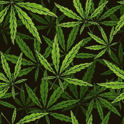 Crown Rolls | 3x Crazy | PRE-ROLLS | 28pk