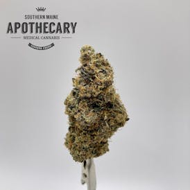 Garlic Snake Breath by Magoo's Garden