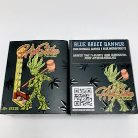 Blue Bruce Banner Auto Flower Seeds 10 Pack by High Striker Farms