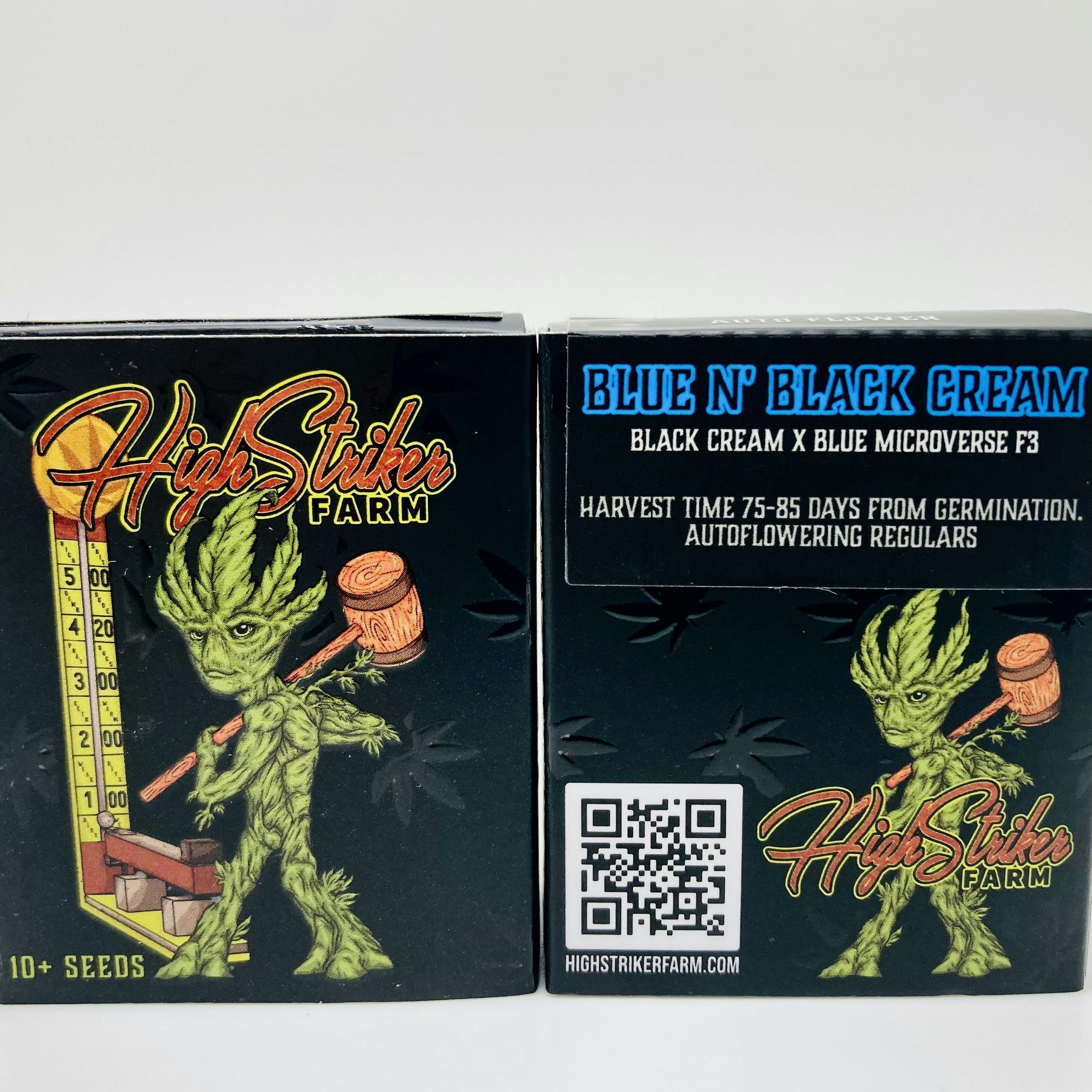 Blue N Black Cream Auto Flower Seeds 10 Pack by High Striker Farms at Southern Maine Apothecary: Kittery Medical Cannabis