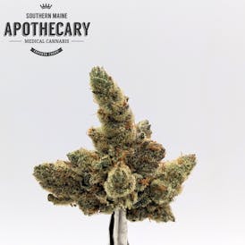 Grease Bucket by Symbiotic Cultures