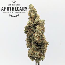 Tangerine Altoid by Five Points Farm