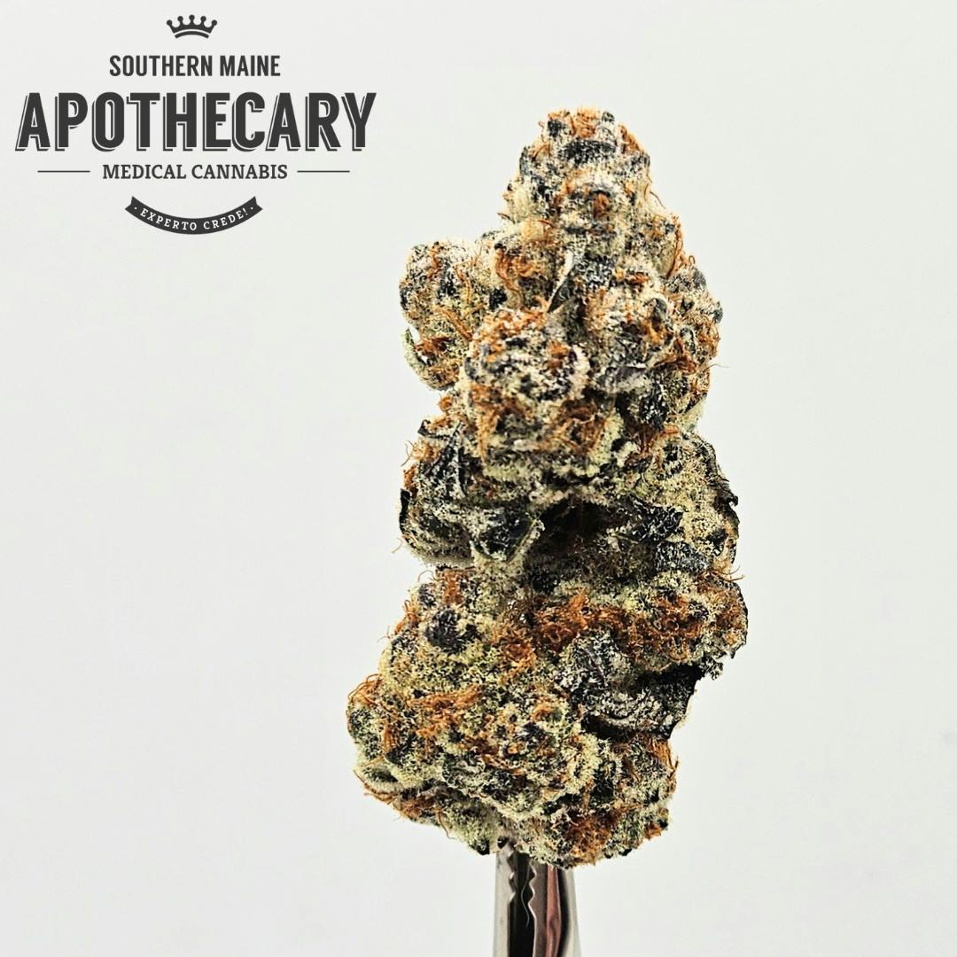 Astronaut Status by Concrete Cultivation