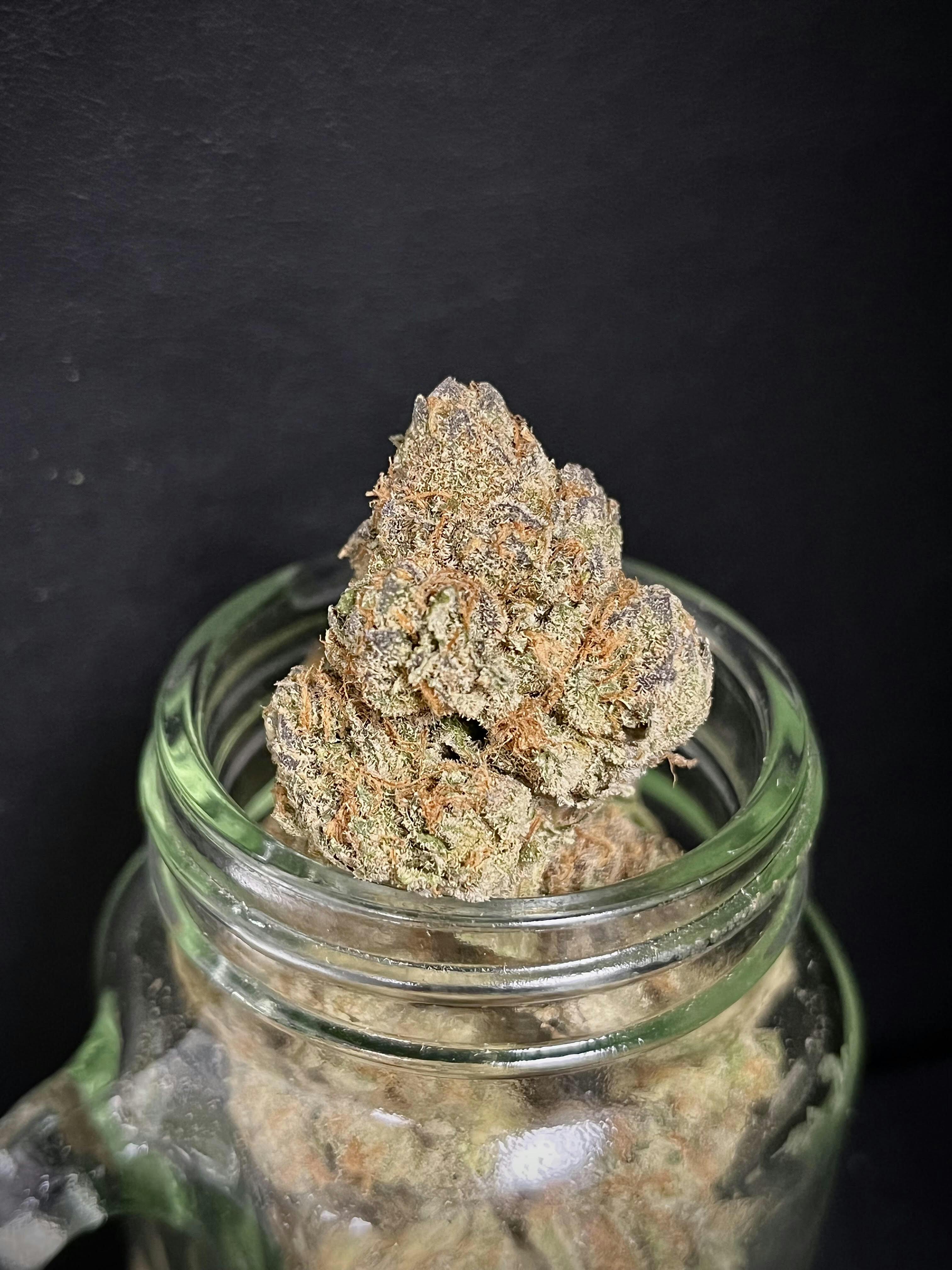 Grateful Grape Inferno x Guava Grove Connoisseur Shelf
