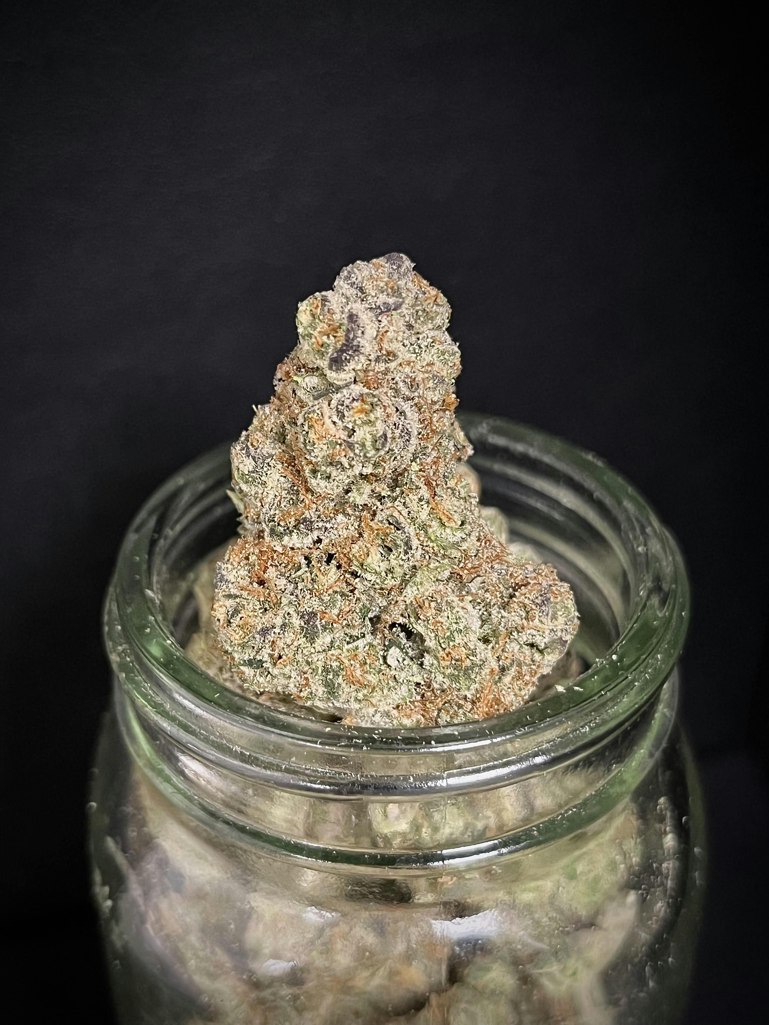 Pave Paris Og x The Menthol Ardo Gold Shelf