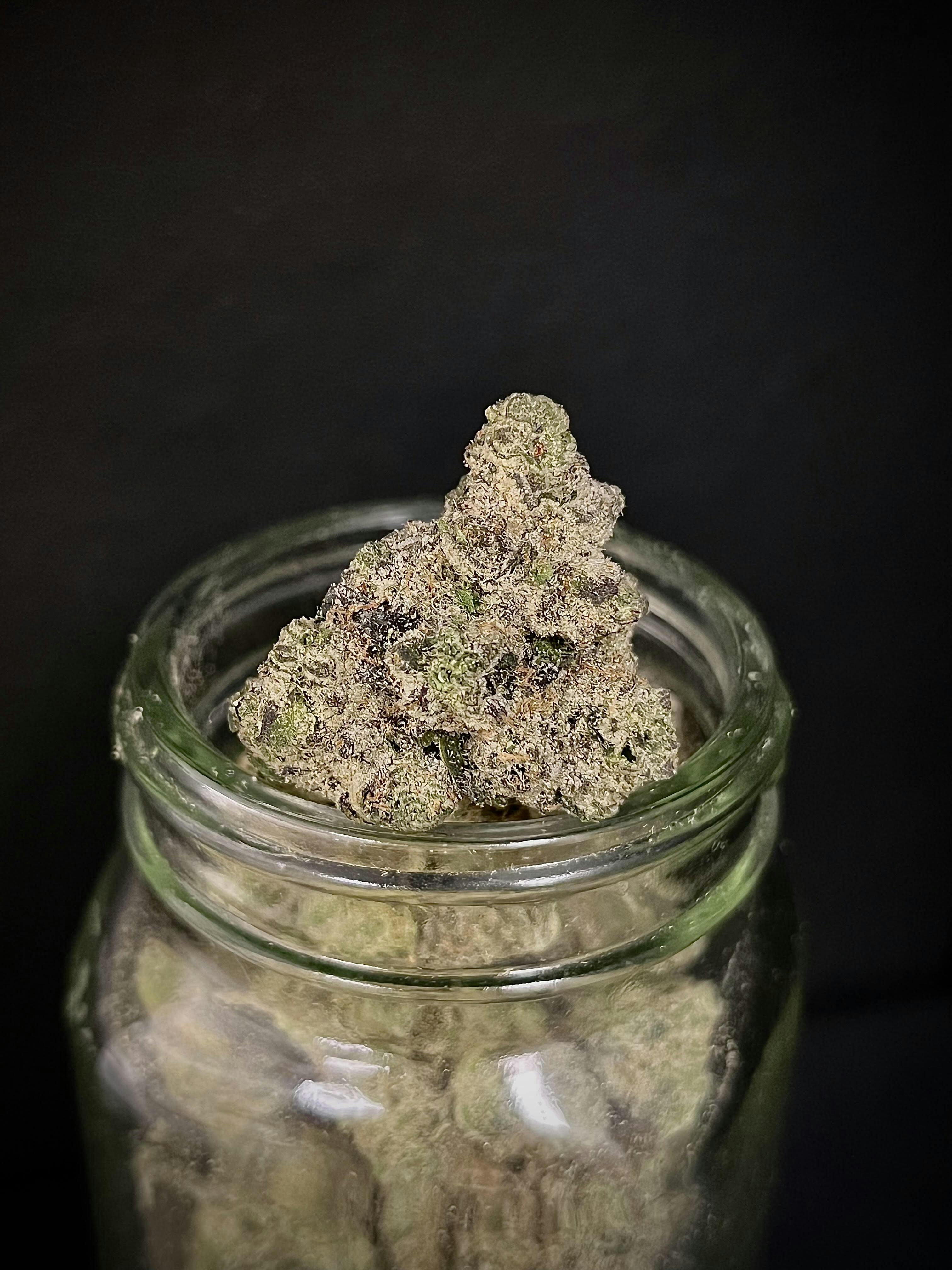 DNA Cake {Gelato 33 x Wedding Cake} (Ardo) "GOLD SHELF" (1/2 OZ Special)