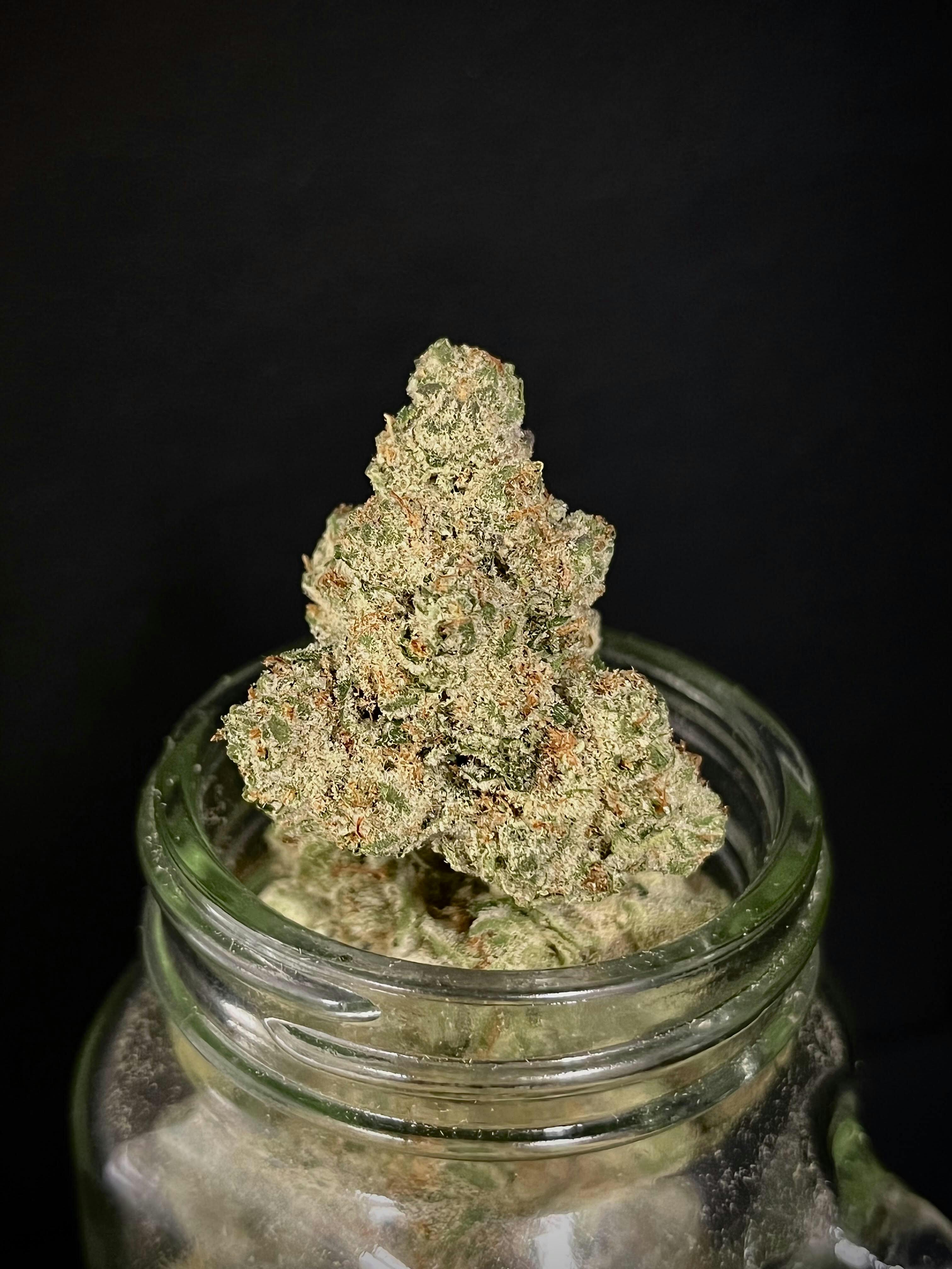 Juicy Fruit {Tahi Sativa x Afghani} (Bloom County) (1/2 OZ Bud Special)