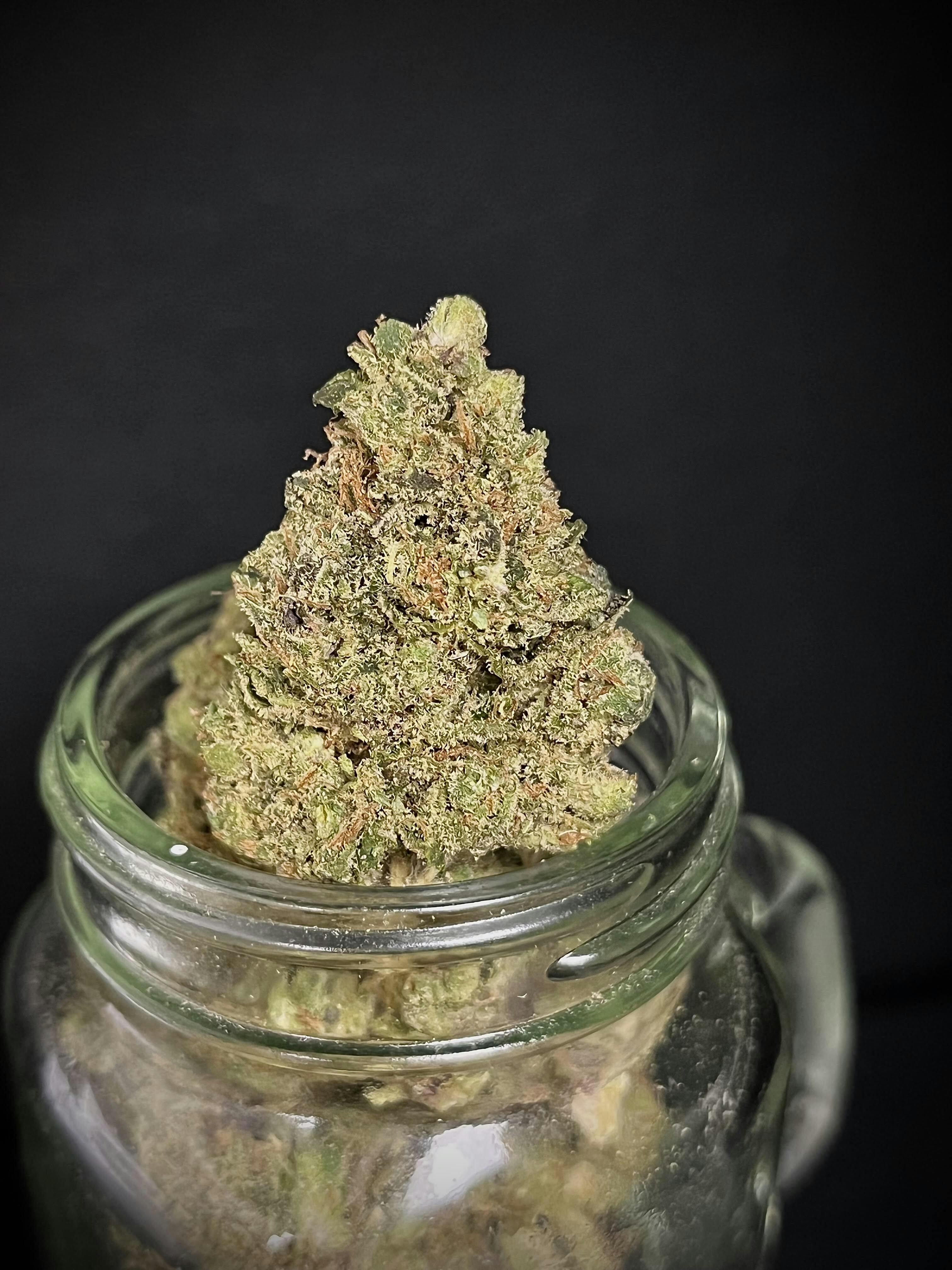Sticky Rice {Ice Cream Mints x Jumanji} (Wildfire) "BLACK SHELF"