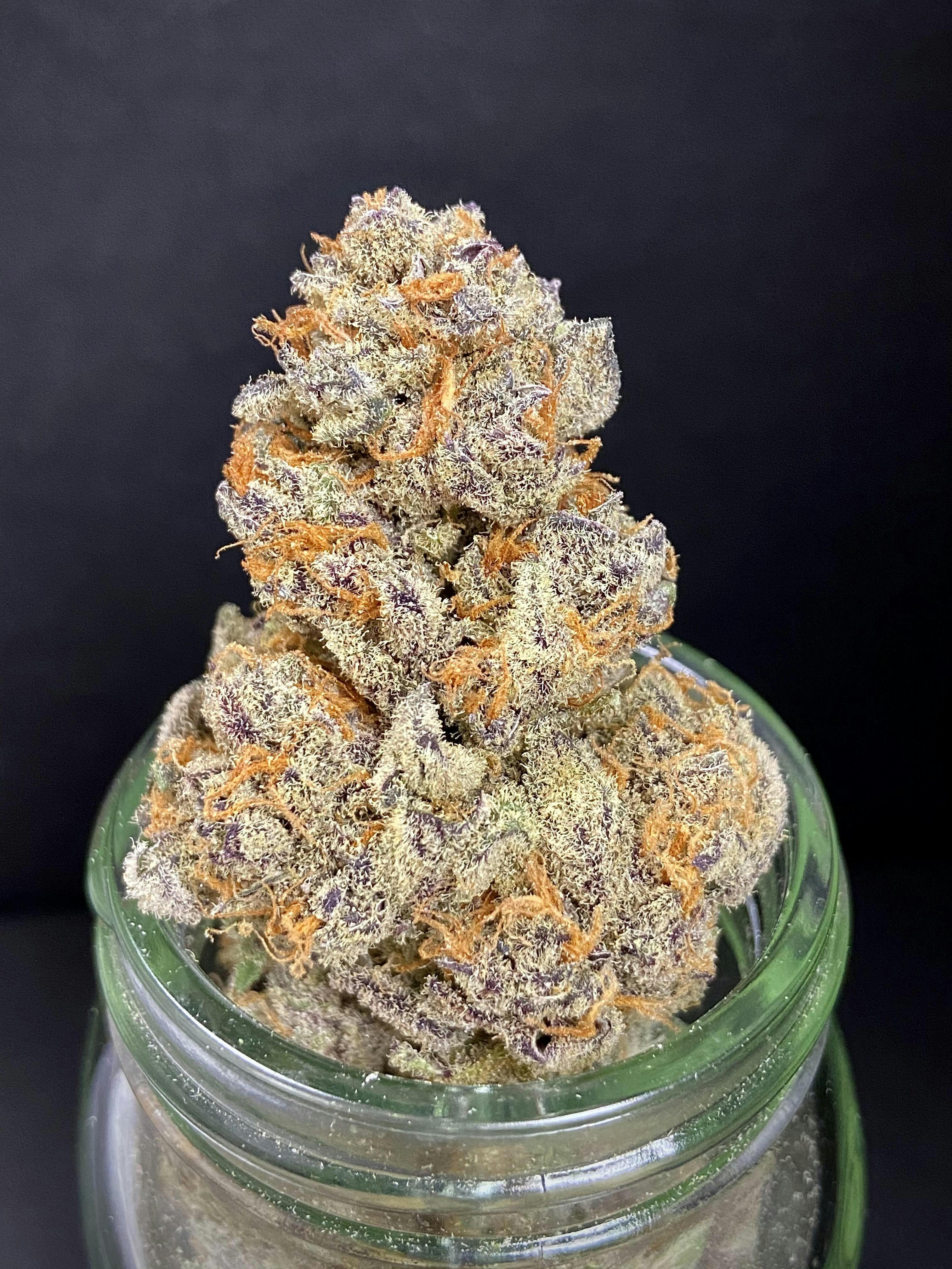 Colorado Cream Soda {Huckleberry Soda x Cookies n Cream} (Locol Love) "CONNOISSEUR SHELF"