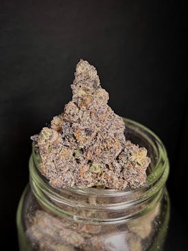 Sherb Cream Pie (Grateful Grove) "BLACK SHELF" (1/2 OZ Special)