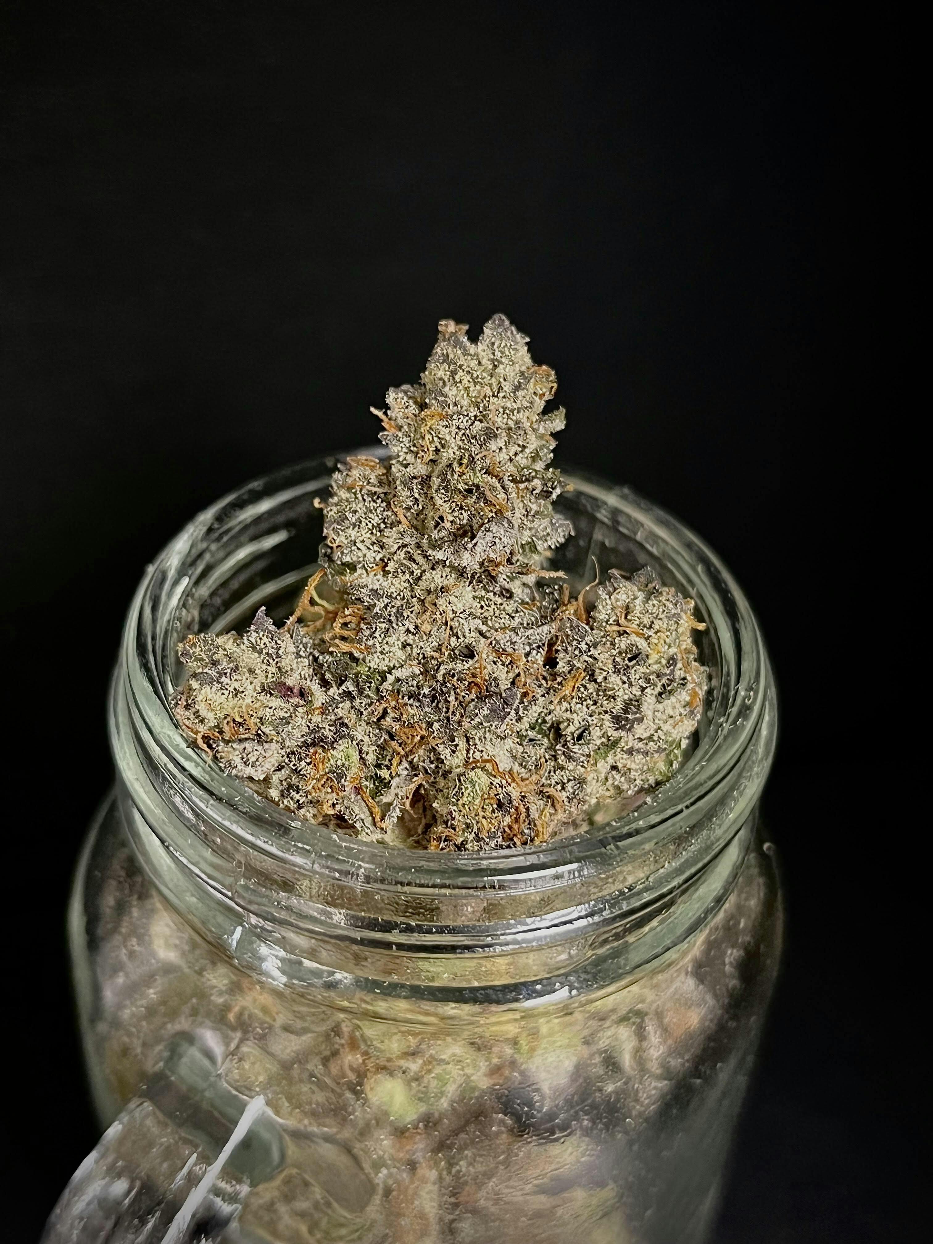 Deep Space Romulan x Chunk Bakery Brothers Black Shelf