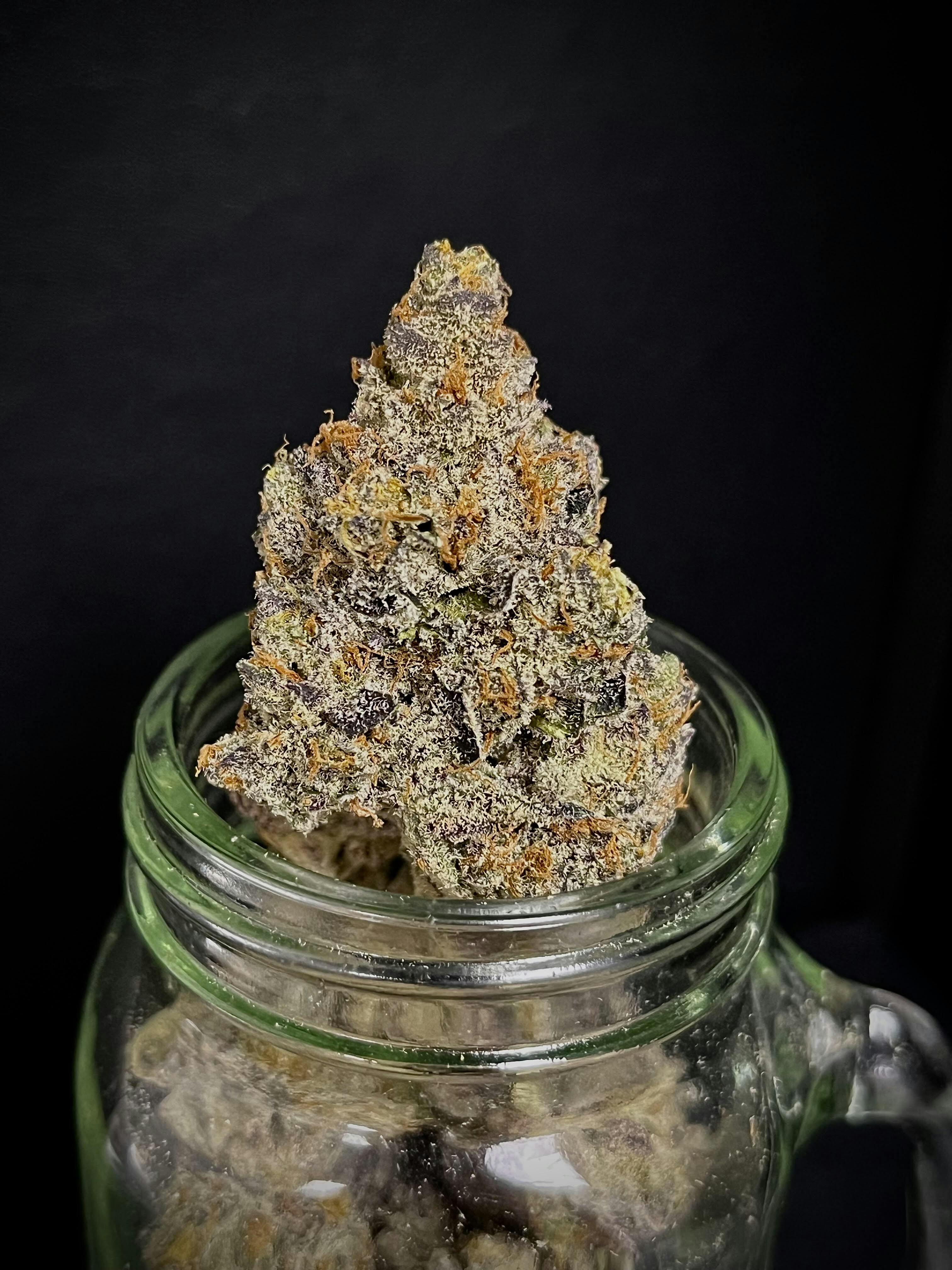 Grape Cream Cake {Grape Pie x Wedding Crasher} (Locol Love) "CONNOISSEUR SHELF" (1/2 OZ Special)