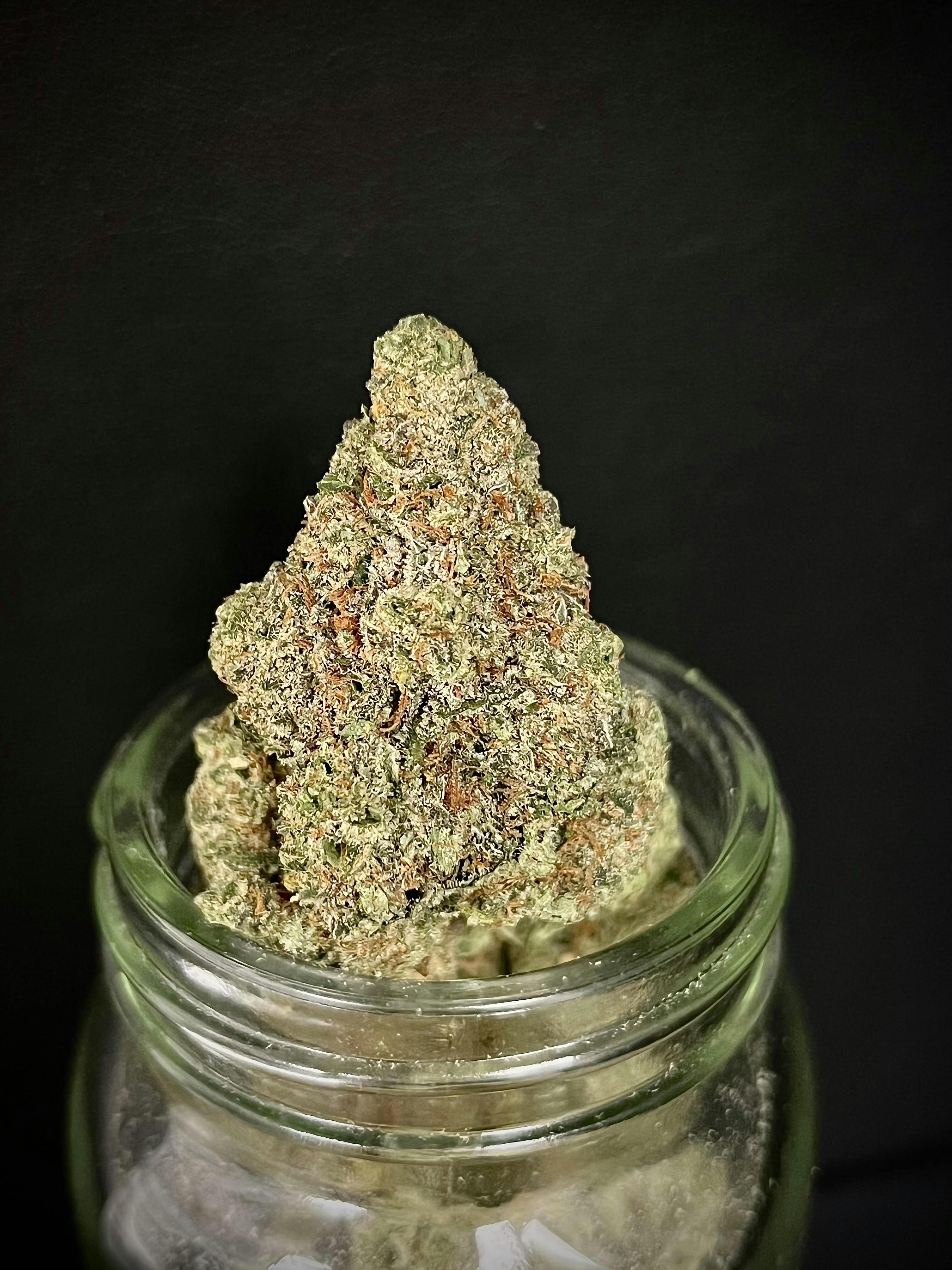 The Buzz Zero Gravity x Oooze Platinum Lemon Cherry Gelato Level 10 Black Shelf