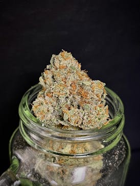 Tangelo {Tangerine Sunrise x Gorkle} (Indico) (1/2 OZ Bud Special)