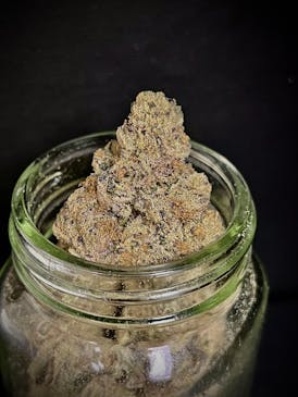 Berry Poppins {White Truffle x The Creature #3} (1/2 OZ Bud Special)