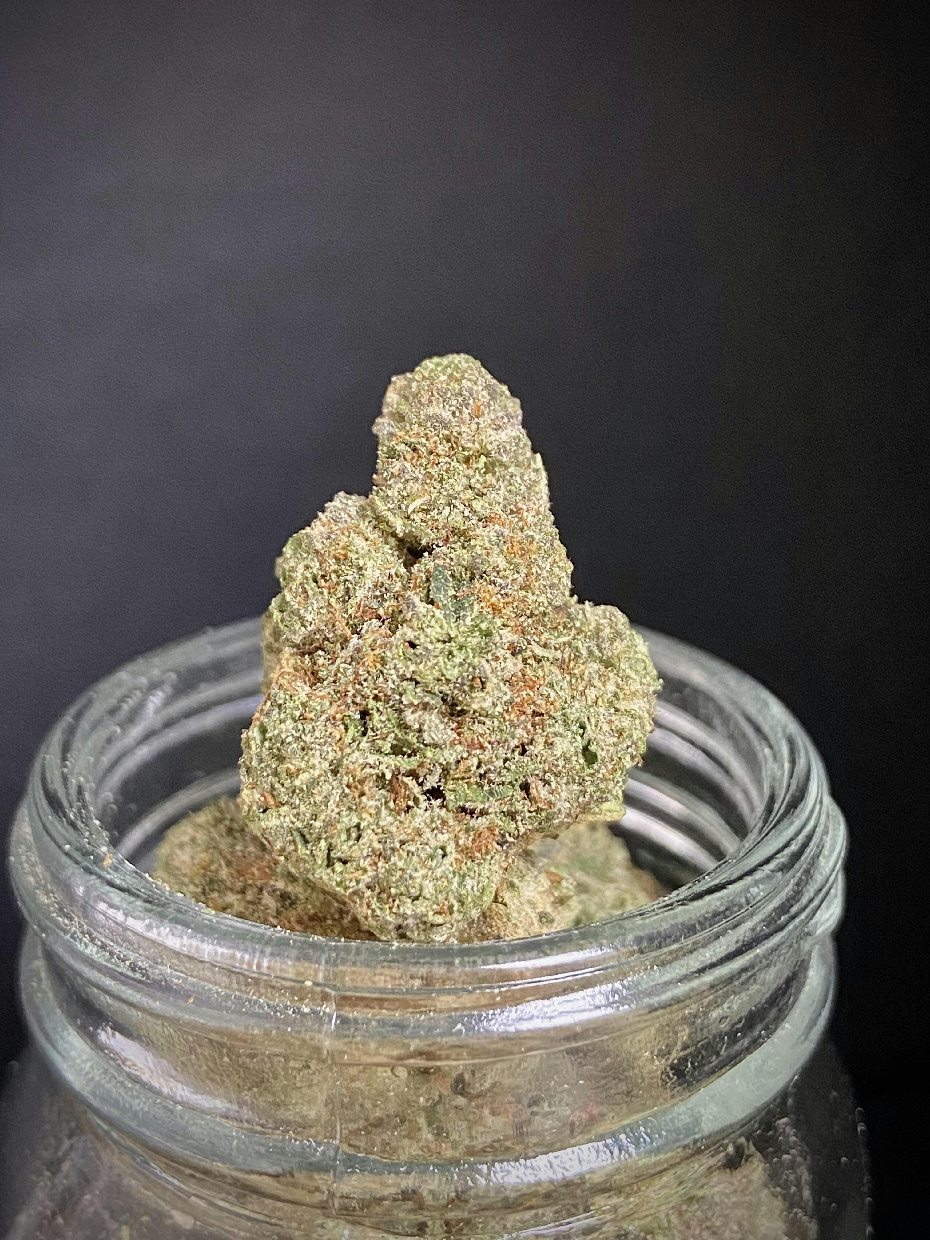 Yellow Zushi {Zkittlez x Kush Mintz} (Ardo) "GOLD SHELF"